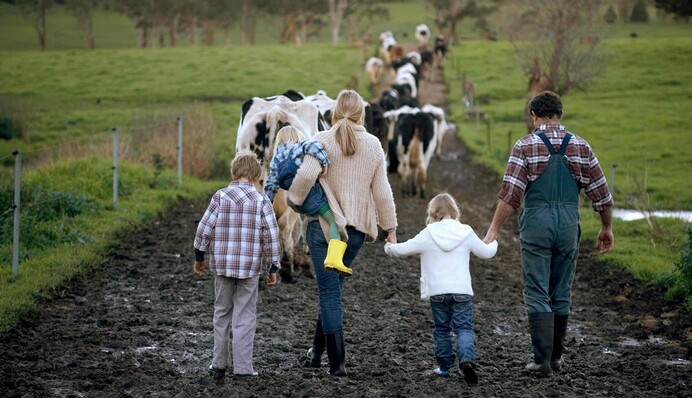 Украинские фермеры получили от Всемирного банка помощь на 1,98 млрд грн