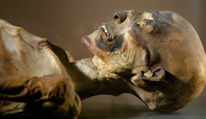 Ученые обнаружили у египетской мумии бубонную чуму - находка перепишет историю 