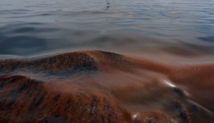 Не прошло и двух недель: из-за разлива мазута в Черном море в РФ вводят режим чрезвычайной ситуации