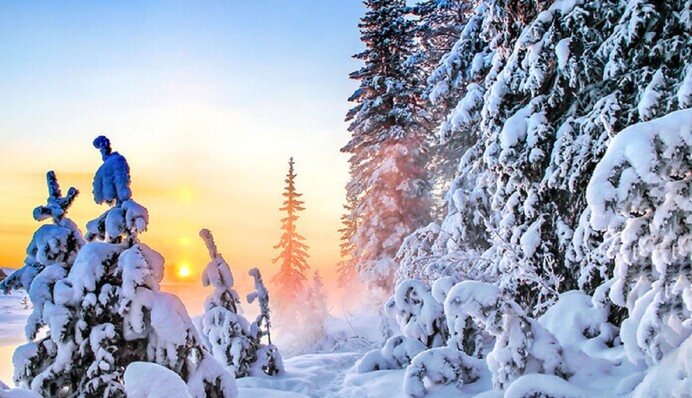 До -20: Украину накроет волна сильных морозов