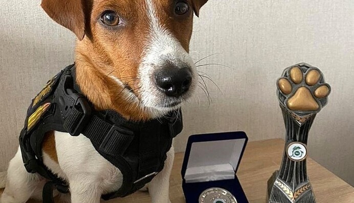 Рятувальники спростували фейк про пса Патрона