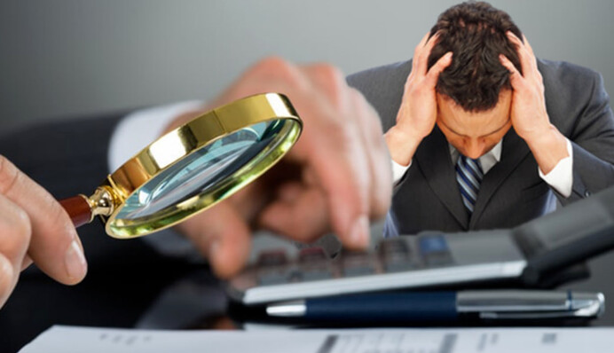 Налоговая запланировала на 2025 год ряд проверок: кто в списке