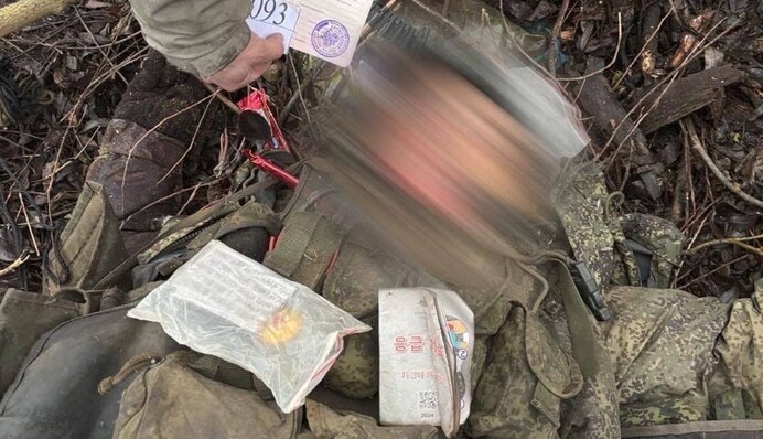 На Курщине украинские бойцы уничтожили еще одну группу КНДРовцев