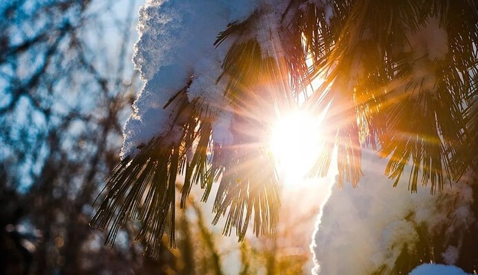 В Укргідрометцентрі розповіли, чи чекати в січні сильних морозів