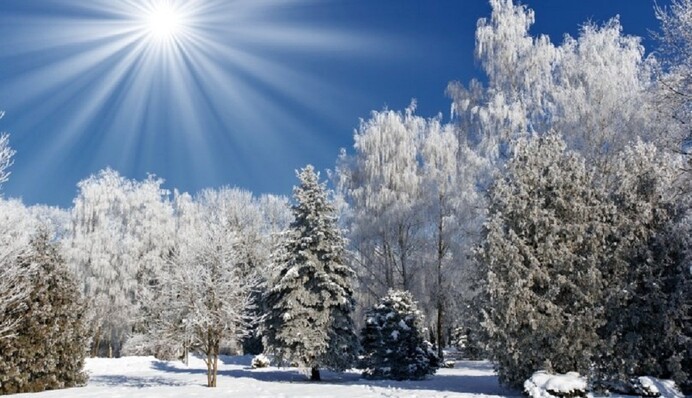 В Украину идут 20-градусные морозы  – синоптики назвали даты