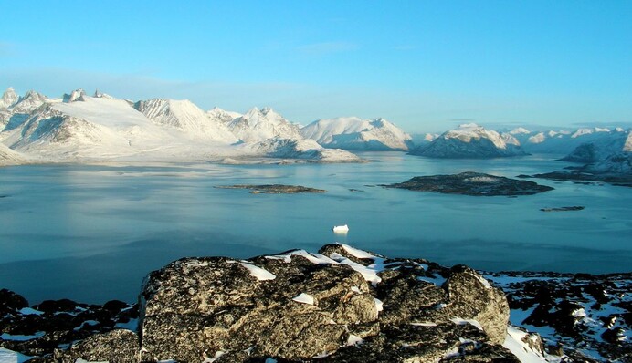 Какая главная причина 