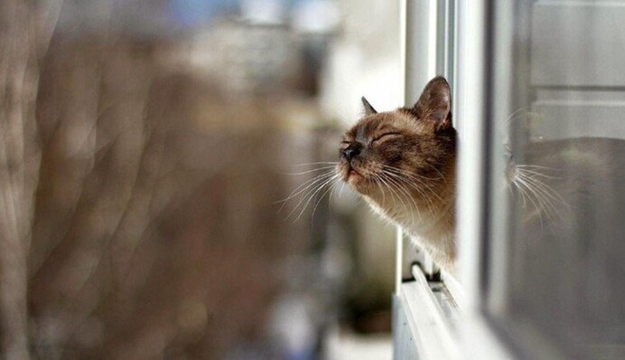 Украина поставила в январе новые температурные рекорды