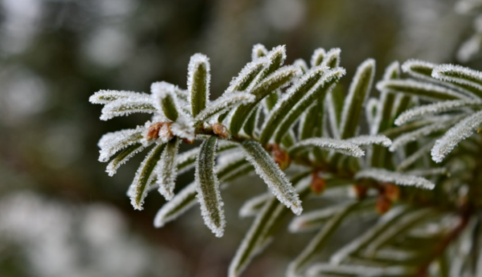 Синоптик анонсировала потепление в Украине