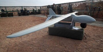 В ОСУВ "Хортиця" показали збиту "рідкісну пташку" окупантів