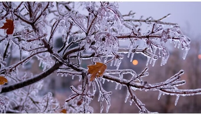 Украину накроют снегопады и ледяные дожди: где ждать наихудшей погоды