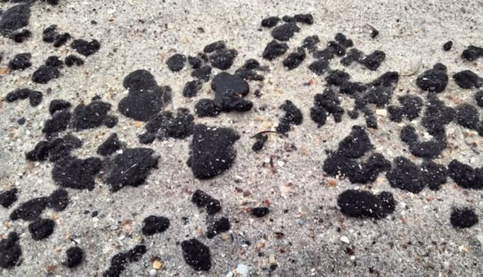 Мазут из затонувших российских танкеров добрался до побережья Одесщины: украинский ученый бьет тревогу