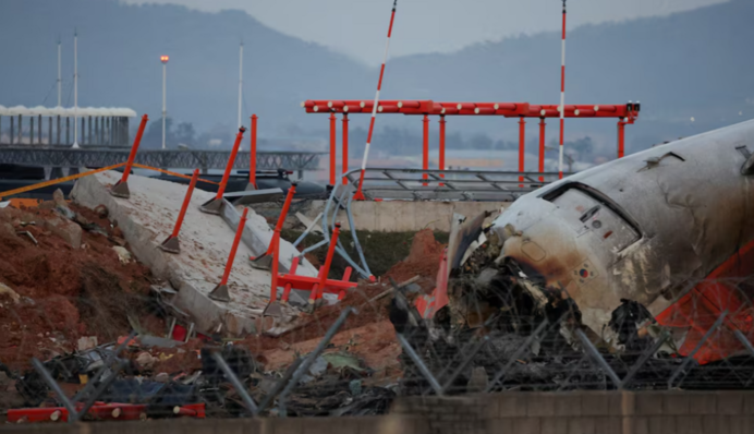 Авіакатастрофа пасажирського літака в Південній Кореї - в двигунах знайшли новий доказ