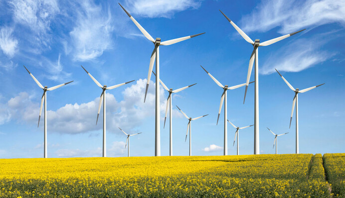 Всего лишь 20 МВт в 2024 году: названы причины, почему возобновляемая энергетика не развивается