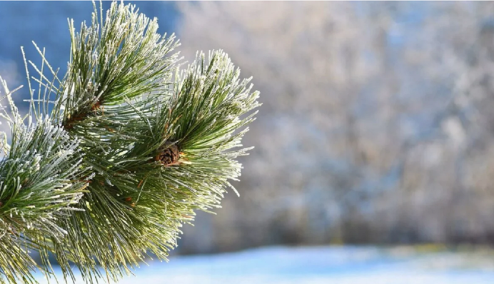 Ударят 15-градусные морозы: синоптики назвали даты похолодания