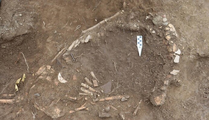 В Еквадорі знайшли поховання вагітної жертви ритуального вбивства - від знахідки холоне кров