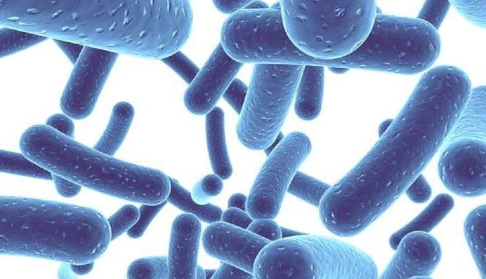 Ученые раскрыли секрет долголетия: эти бактерии помогут дожить до 100 лет