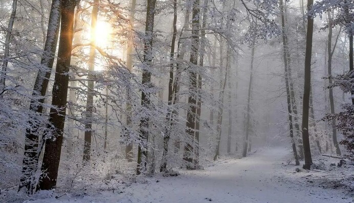 В начале февраля Украину накроют волны снегопадов - названы даты