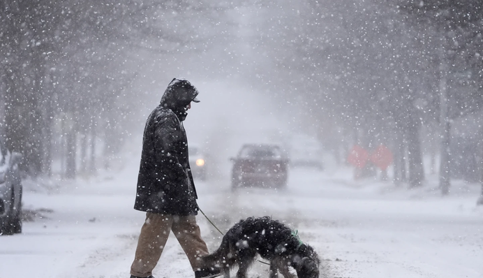 Украину засыпает снегом: где ждать усиления непогоды