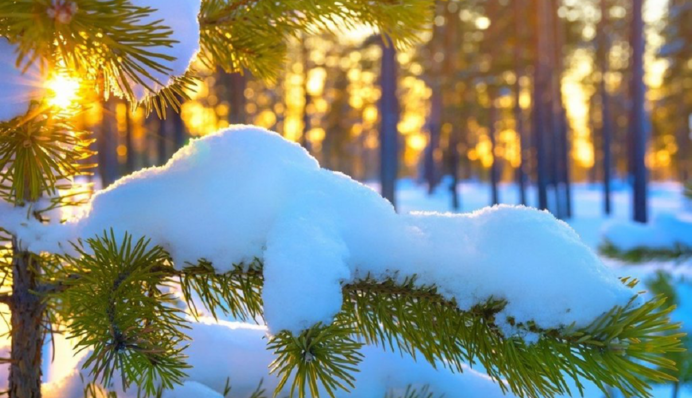 Зима вернулась: в Укргидрометцентре рассказали, ждать ли сильных морозов