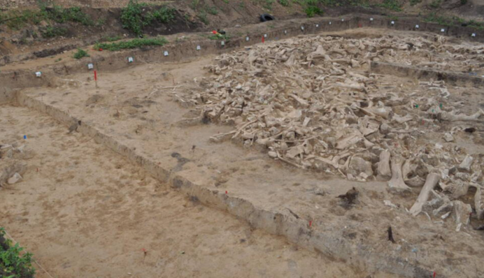 Люди Льодовикового періоду будували 