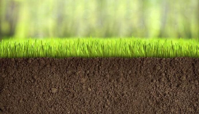 ​Японія впроваджує нанобульбашки в ґрунти України: в яких регіонах застосують технологію