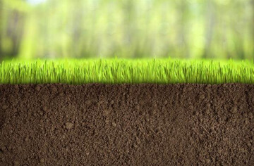 Япония внедряет нанопузырьки в почвы Украины: в каких регионах применят технологию