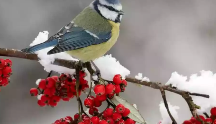 Погоду визначатиме антициклон: метеоролог дав прогноз на вихідні