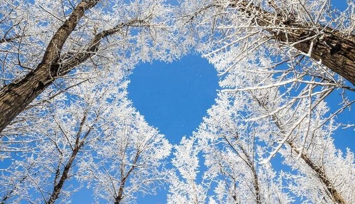 В Украине усилятся морозы и придут снегопады: когда будет холоднее всего