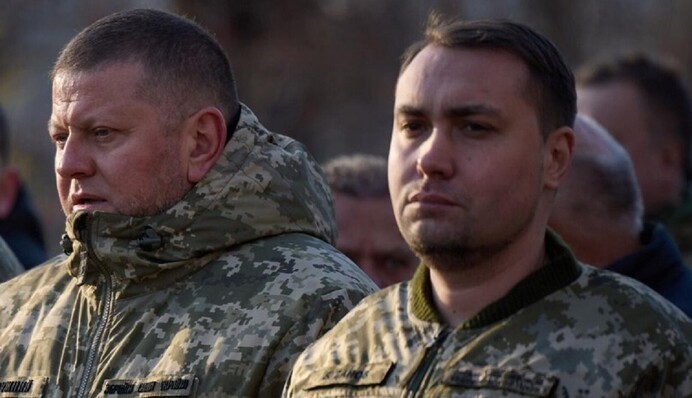 Результаты исследования: Залужный и Буданов – лидеры общественного доверия украинцев