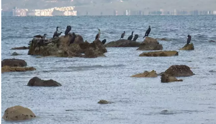 2,5-тисячолітній порт постав з води в Туреччині після різкого падіння рівня моря