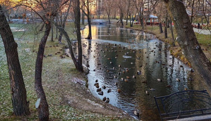 Нынешний январь был самым теплым не только в Украине, но и в мире