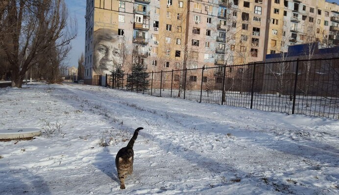 «Символ Авдеевки, города, который россияне стерли с лица земли». История украинской учительницы, чье лицо стало муралом