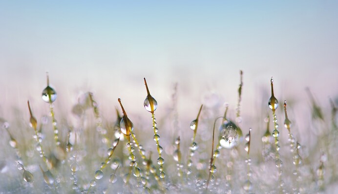 Когда в Украину придет тепло: названы даты