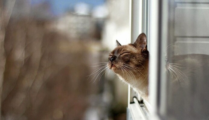 В Киеве в марте будет снег и много дождей - прогноз на месяц