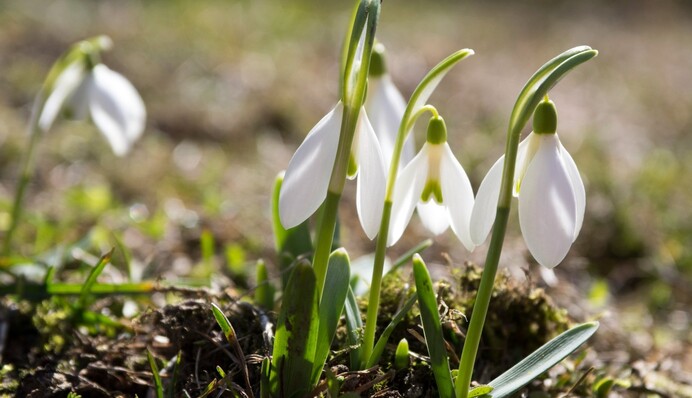 В Украину ворвется 15-градусное тепло – сколько еще ждать до потепления