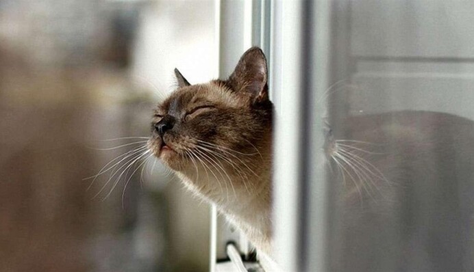 В Украину начнет заходить долгожданное потепление – прогноз на выходные