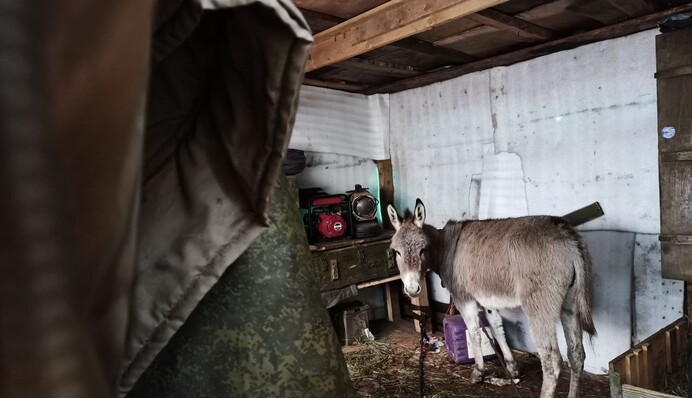 В мережі показали 