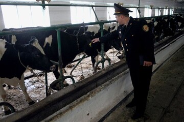 ​Назначен глава управления валютных операций и анализа финансовых рынков НБУ