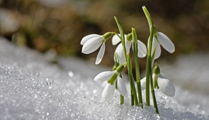 Погода резко изменится: какими будут первые выходные весны