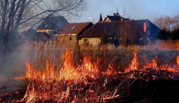 В российском Приморье бушуют масштабные лесные пожары