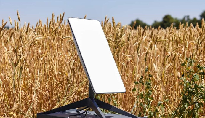 ​Starlink для України: в Польщі назвали вартість роботи терміналів за місяць