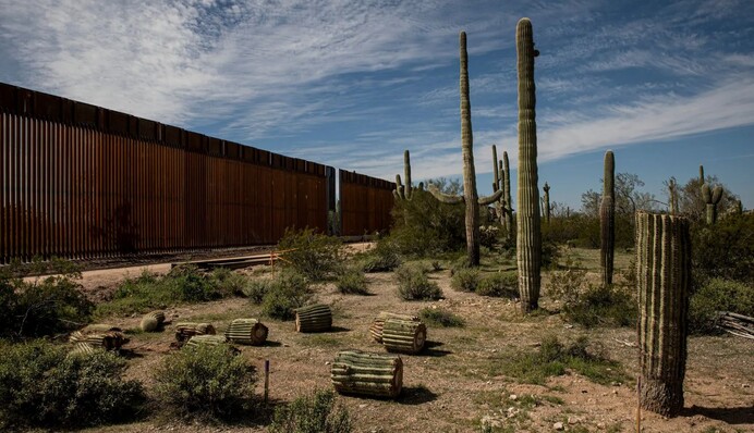 Даже если Трампа заберут санитары: в построении стен вокруг США увидели необходимость