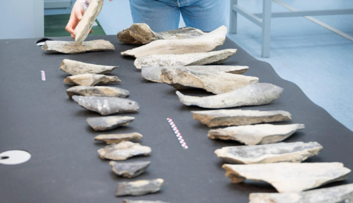 В Танзанії знайшли найдавніші в світі знаряддя праці, яким 1,5 мільйона років