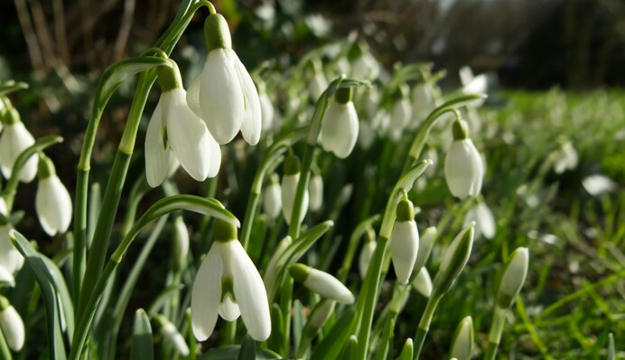 Аномальное тепло: на выходных погода преподнесет украинцам сюрприз