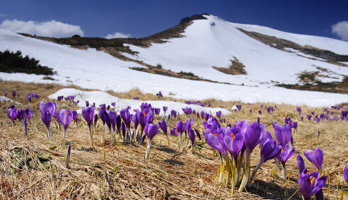 Погода резко изменится: в Украину идут морозы и сильные ливни