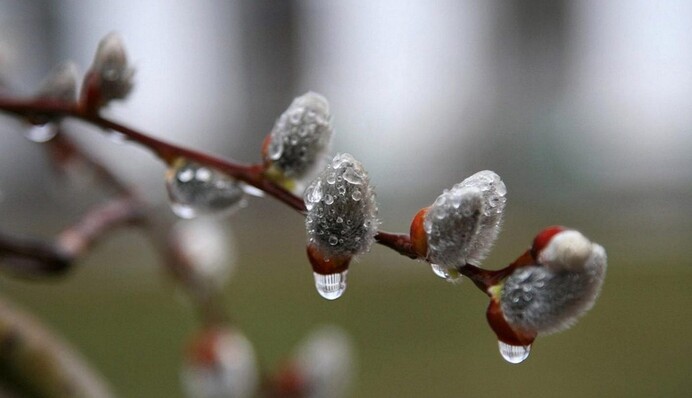 В Украину идут дожди с грозами и снегопады: свежий прогноз на ближайшие дни