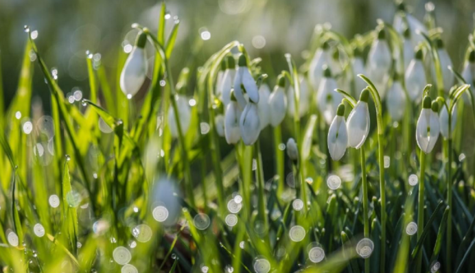 Погода готовит неприятный сюрприз: прогноз на выходные