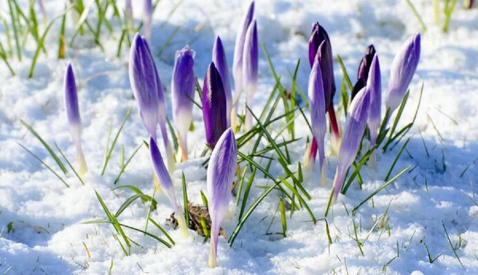 Ударят 10-градусные морозы: синоптики назвали дату сильнейшего похолодания