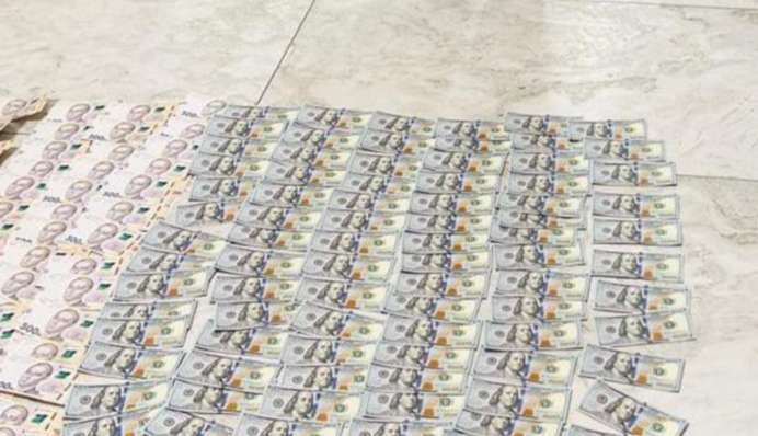 Наживалась на закупівлях в 