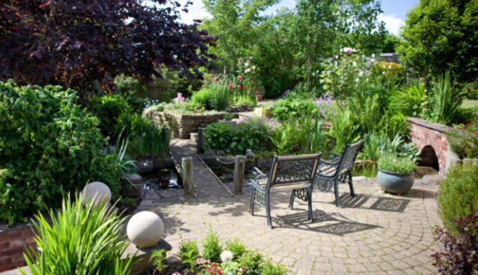 Могут навлечь несчастье: какие деревья нельзя сажать возле дома